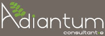Adiantum